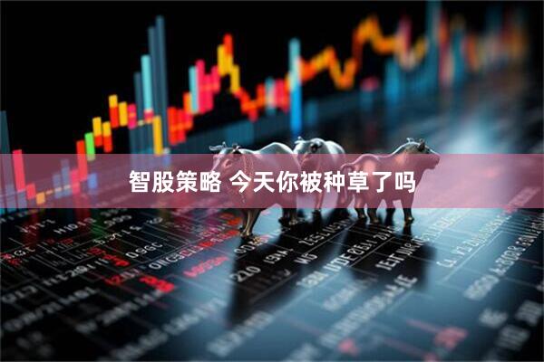 智股策略 今天你被种草了吗