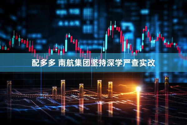 配多多 南航集团坚持深学严查实改